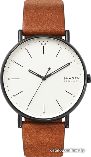 

Наручные часы Skagen SKW6550