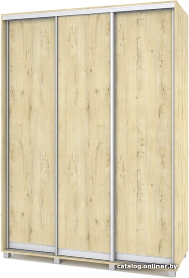 

Шкаф-купе Modern Роланд 1600 (600) (ирландский дуб)
