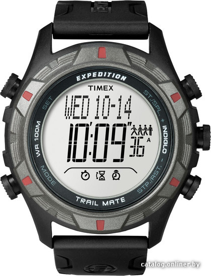 

Наручные часы Timex T49845