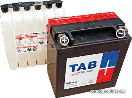 

Мотоциклетный аккумулятор TAB YTX16-BS (14 А·ч)