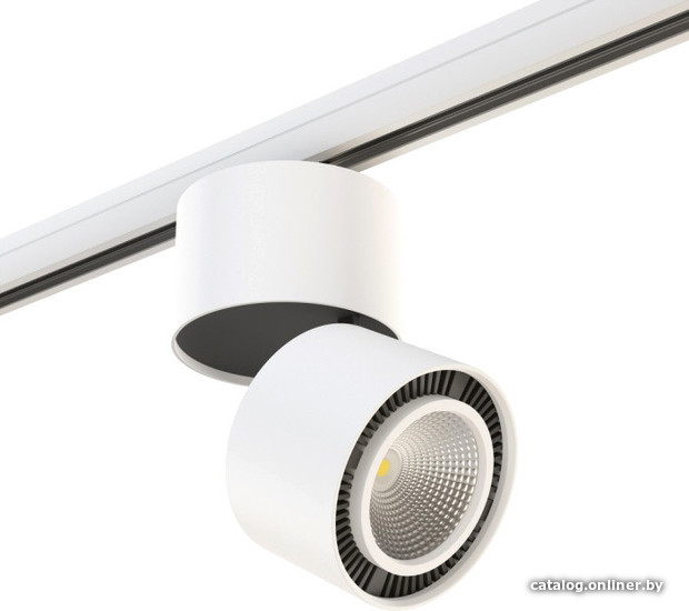 

Трековый светильник Lightstar Forte muro LED 15W A3T214816
