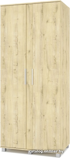

Шкаф распашной Modern Пандора П21 (ирландский дуб)
