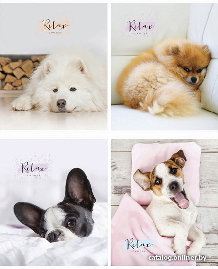 

Общая тетрадь ArtSpace клетка Питомцы. The pets Т48к_24452 (48 л)