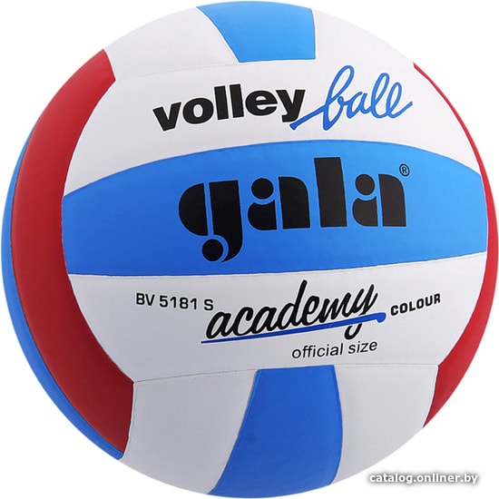 

Волейбольный мяч Gala Academy BV 5181 S (5 размер, белый/синий/красный)