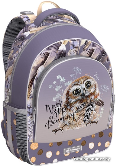 

Школьный рюкзак Erich Krause ErgoLine 15L Dreamy Owl 51601