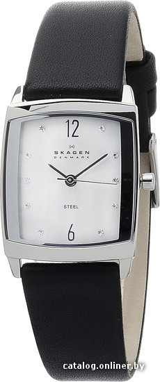 

Наручные часы Skagen 691SSLS