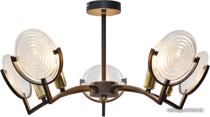 

Подвесная люстра Toplight Roxana TL1194X-05BK
