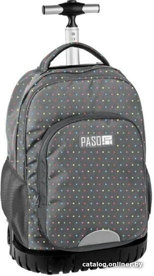 

Дорожный рюкзак Paso PPMQ19-1231