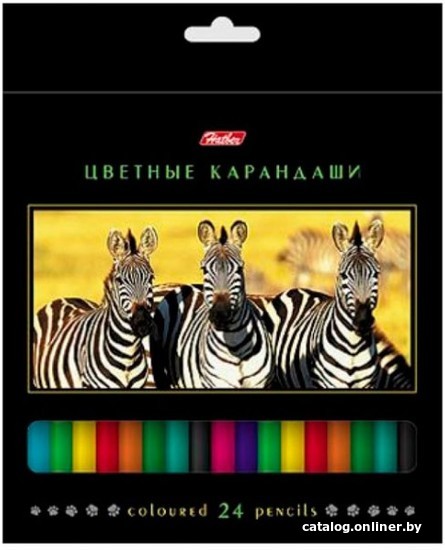 

Набор цветных карандашей Hatber Дикий мир BKc 24270 (24 шт)