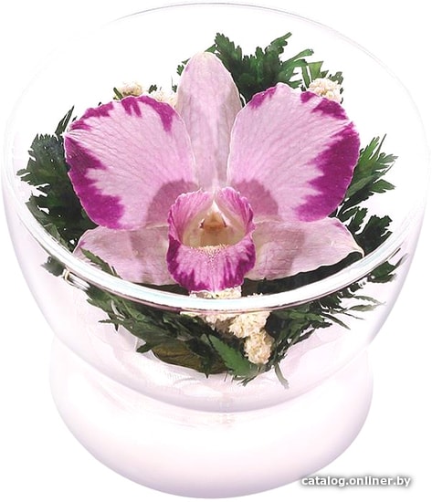 

Цветы, букеты Natural Flower Products Композиция из фиолетово-белых орхидей JbZV3