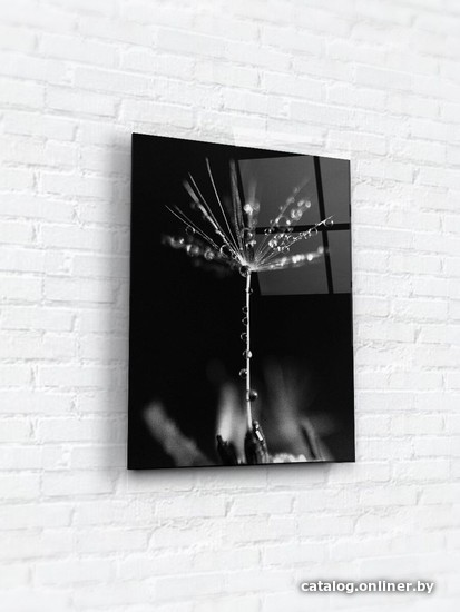 

Картина на стекле ArtaBosko WBR-04-1216-02 30x40