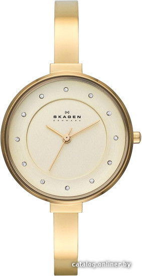 

Наручные часы Skagen SKW2229