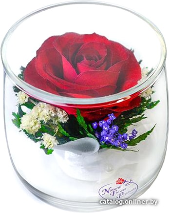 

Цветы, букеты Natural Flower Products Композиция из красных роз ZZY
