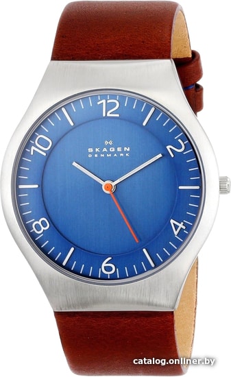 

Наручные часы Skagen SKW6112