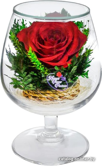 

Цветы, букеты Natural Flower Products Композиция из красных роз NZY2