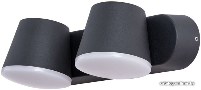 

Уличный настенный светильник Arte Lamp Chico A2212AL-2BK