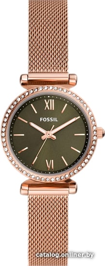 

Наручные часы Fossil Carlie Mini ES4957