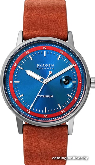 

Наручные часы Skagen Henricksen SKW6755