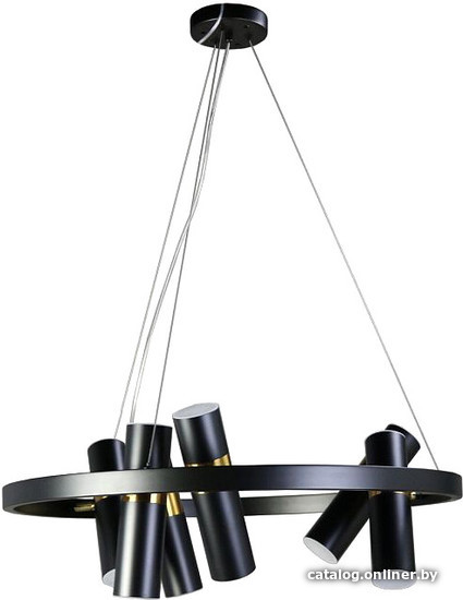 

Подвесная люстра Zortes Tweeny ZRS.1828.60
