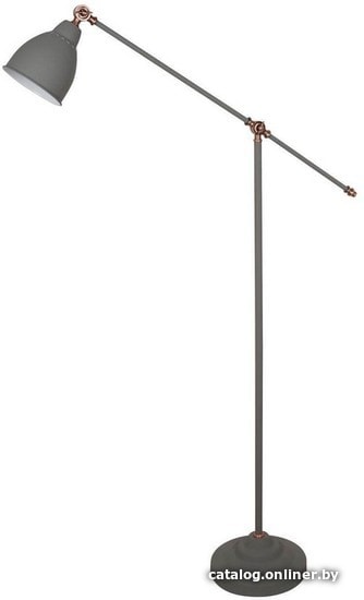 

Торшер Arte Lamp Braccio A2054PN-1GY