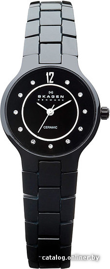 

Наручные часы Skagen 572SBXBC