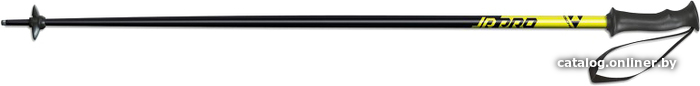 

Лыжи Fischer Pro Jr Z36319 20/21 (70 см)