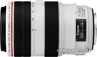 

Объектив Canon EF 70-300mm f/4-5.6L IS USM