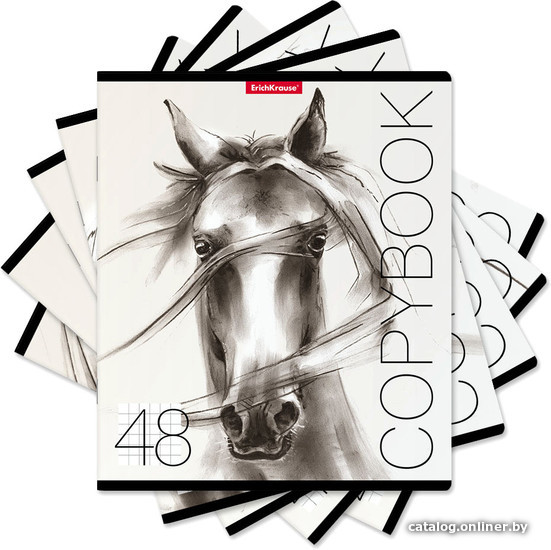 

Полуобщая тетрадь Erich Krause Wild Horse 48 л клетка 49632