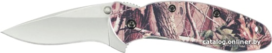 

Складной нож Kershaw 1620C Scallion