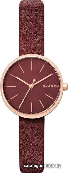 

Наручные часы Skagen SKW2646