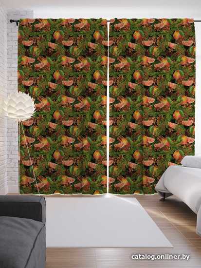 

Комплект штор JoyArty Праздничные мандарины 1.45x2.65 м p_185486_145x265 (2 шт)