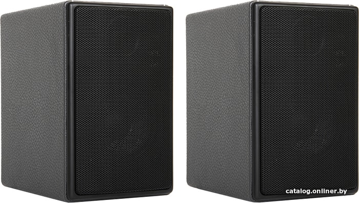 

Полочная акустика Blue Aura x30 (черный)