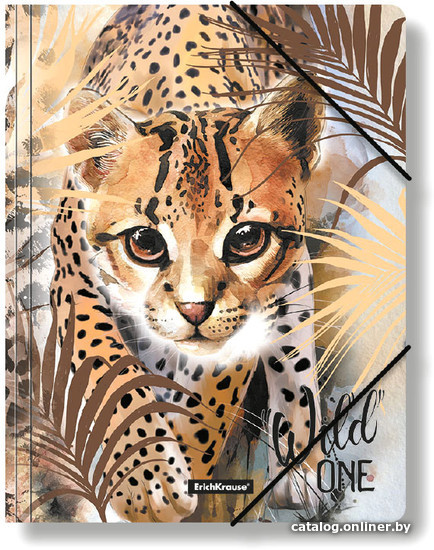 

Набор папок Erich Krause Wild Cat A4 48719 (4 шт)
