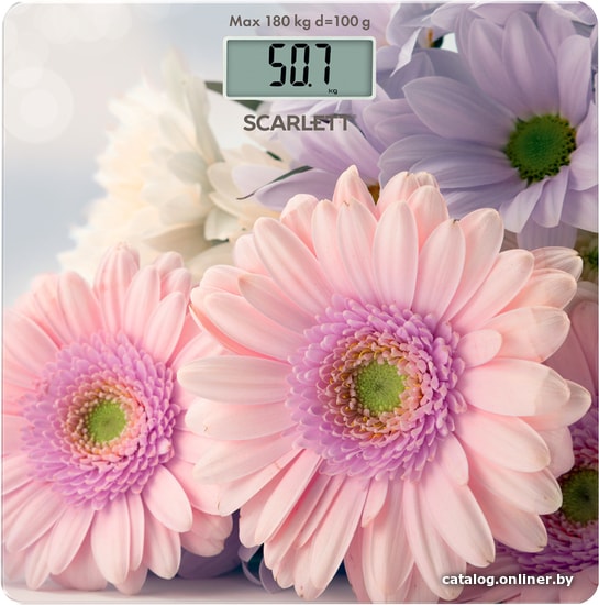 

Напольные весы Scarlett SC-BS33E049