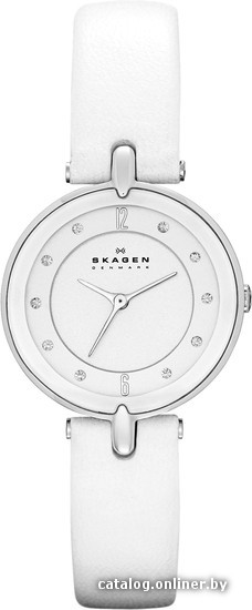 

Наручные часы Skagen SKW2012
