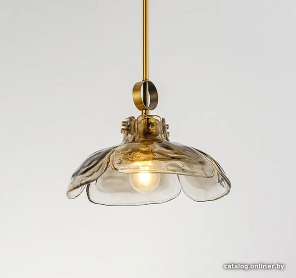 

Подвесная люстра ImperiumLoft FLEUR-C01 179615-26
