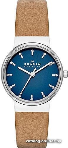 

Наручные часы Skagen SKW2191