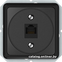 

Розетка компьютерная Vilma Spectrum SP 300 KLRJ45-15e2-02 an