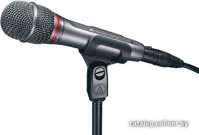 

Микрофон Audio-Technica AE6100