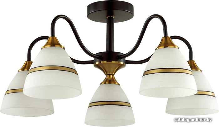

Люстра средней высоты Lumion Nettie 5214/5C