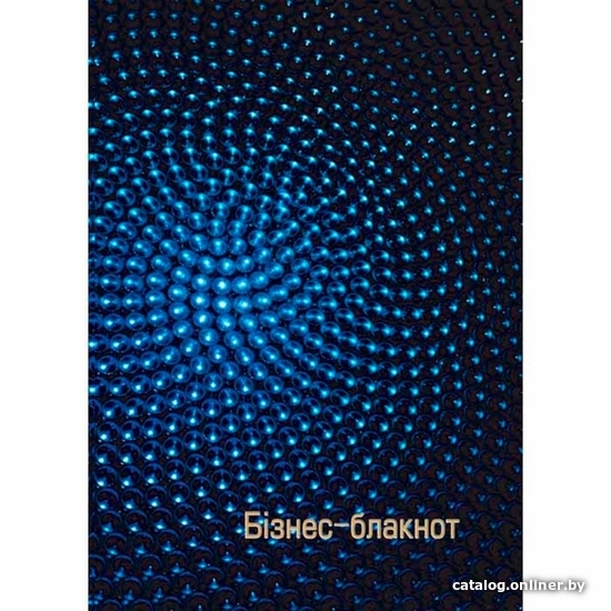 

Блокнот Listoff Business Book. Галактика 14с453.1 (80 л)