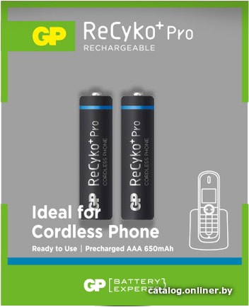 

Аккумулятор GP ReCyko+ Pro AAA 650 2 шт. GP65AAAHCPRO