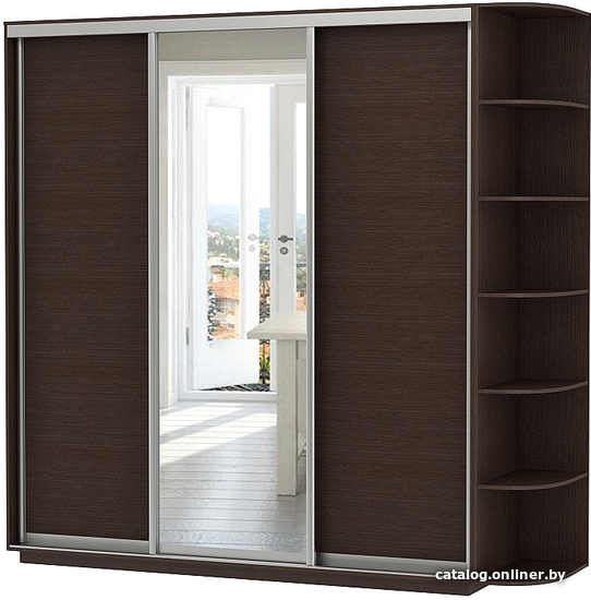 

Шкаф-купе Vivat Mebel D3-06 240x60 (черное дерево)