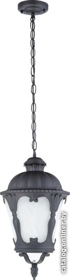 

Уличный подвесной светильник Sfera-sveta 9053HL SBK