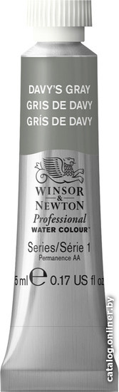 

Акварельные краски Winsor & Newton Professional 102217 (5 мл, серый дэйвис)