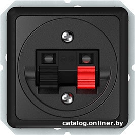 

Розетка акустическая Vilma Spectrum SP 300 GL02-02 an