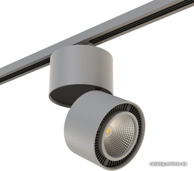 

Трековый светильник Lightstar Forte muro LED 26W A1T213839