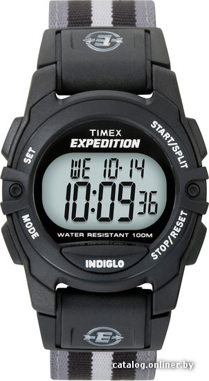 

Наручные часы Timex T49661