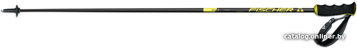 

Лыжи Fischer Rc4 Cf Z30220 20/21 (130 см)