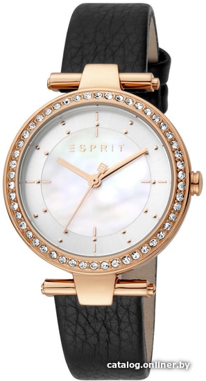 

Наручные часы Esprit ES1L153L2025